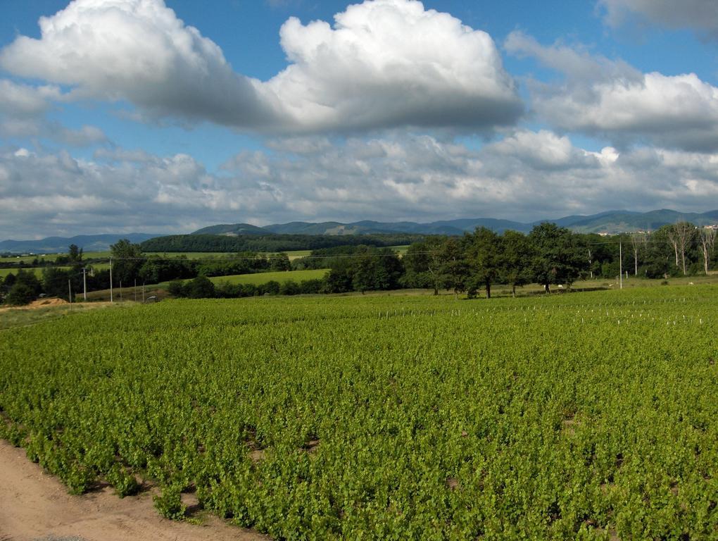 Coeur De Beaujolais Lejlighed Corcelles-en-Beaujolais Eksteriør billede